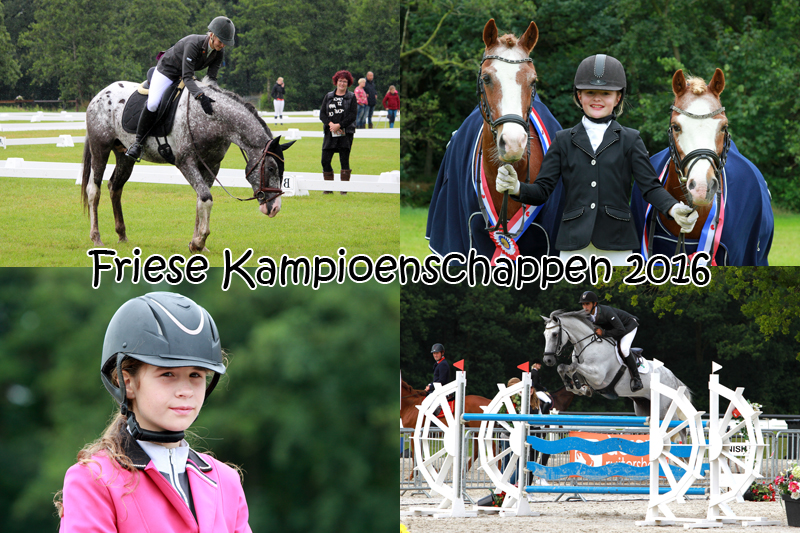 Impressie Friese Kampioenschappen 2016