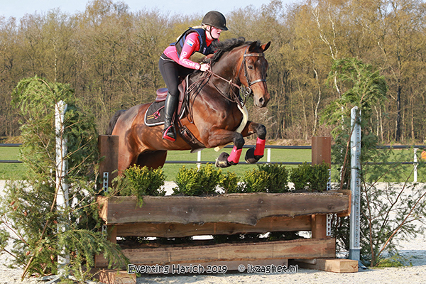 Eventing Derby Harich 2019