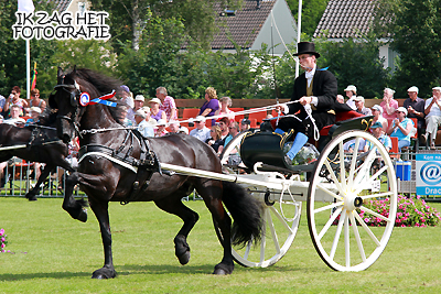 Concours Hippique Buitenpost 2012