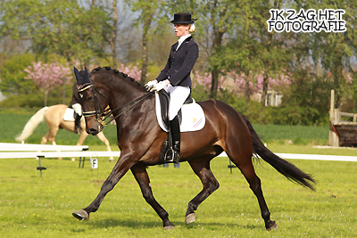 Dressuurconcours Franeker, 06-05-2012