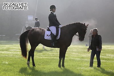 Kringwedstrijd Paarden & Friese Kampioenschappen Pony's te Harich