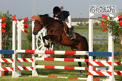 Concours Hippique Sneek, 06-06-2012