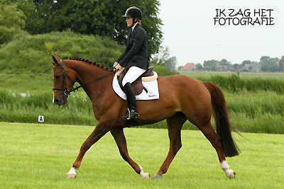 Concours Hippique Sneek, 07-06-2012