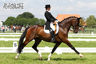 Concours Hippique Sneek, 10-06-2012