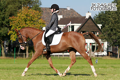 Dressuurconcours Wateren, 09-09-2012