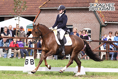 Kringwedstrijd en Dressuurconcours Wateren 2011